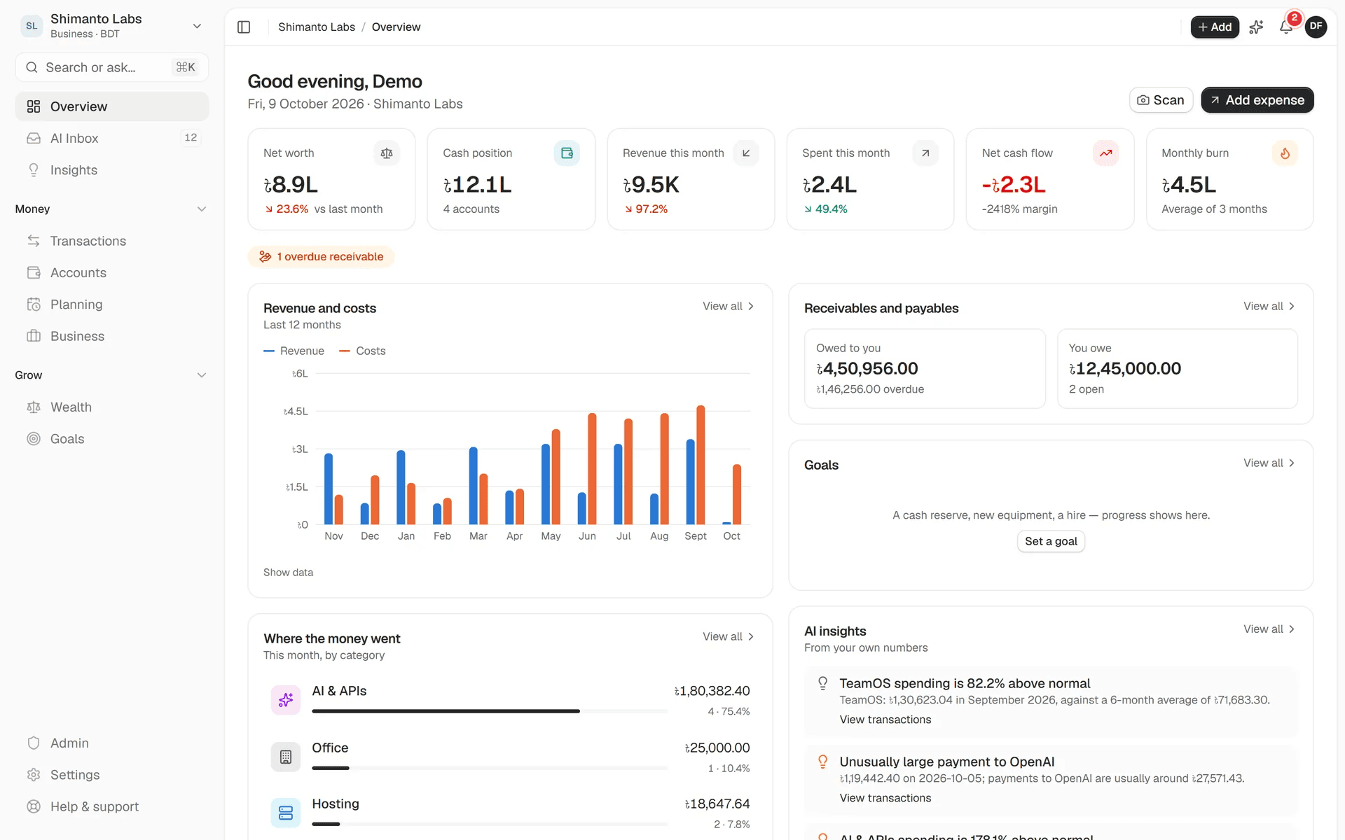 Business workspace overview with revenue, costs, monthly burn, receivables and AI insights on unusual spending